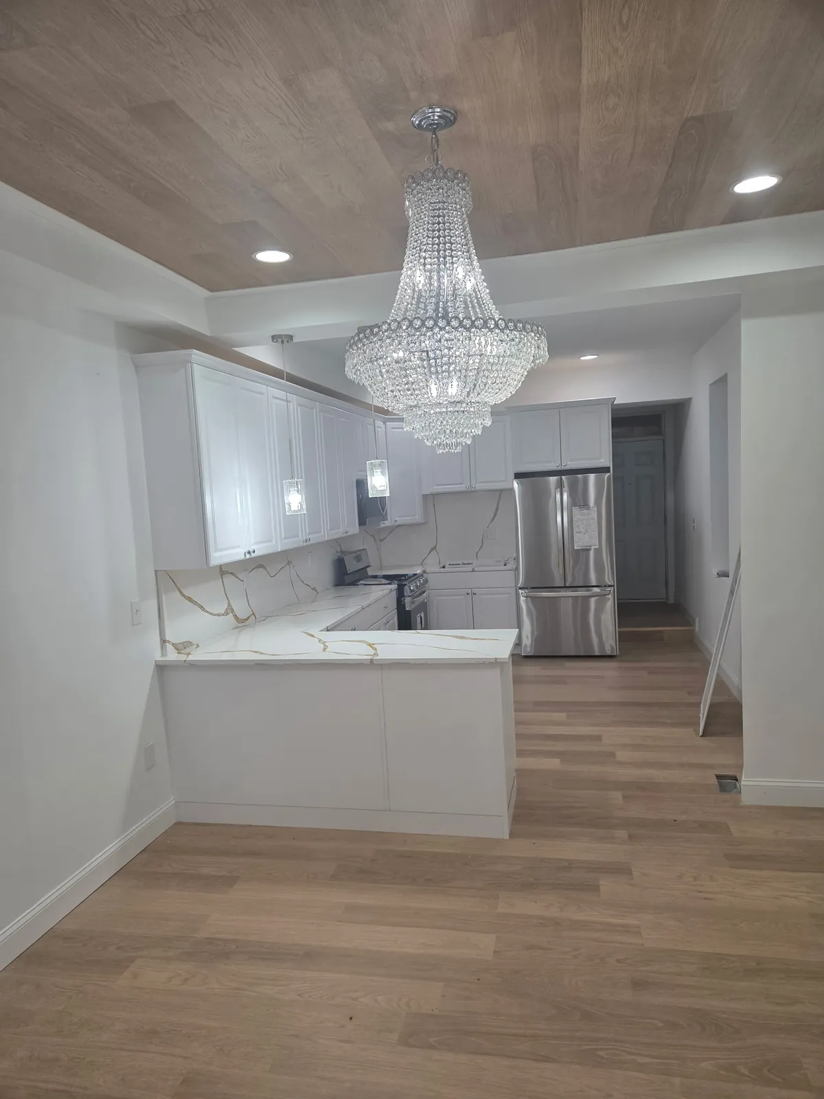 Open kitchen with a peninsula, stainless appliances, and wood-look plank flooring